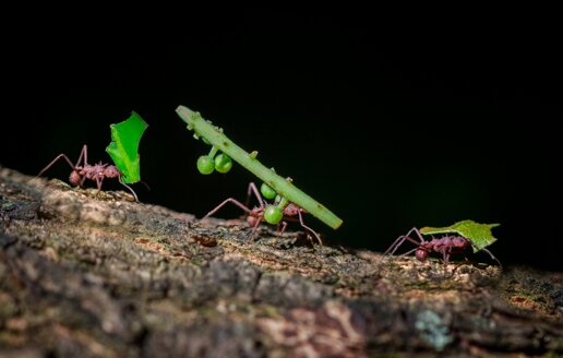 jorge-coromina--pdt3tvgr_k-unsplash.jpeg