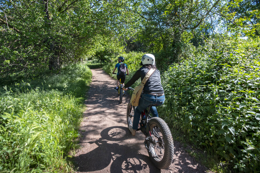 img_1840_001.jpeg img_1840_001.jpeg