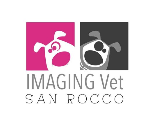 imaging-vet_san_rocco-tomografia-veterinaria.jpeg