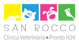 clinicavet_sanrocco