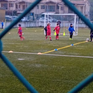 1706201033705.jpeg