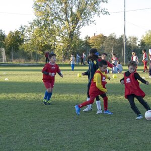 corpolo ogo societa'