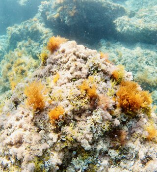 img_8161.jpeg