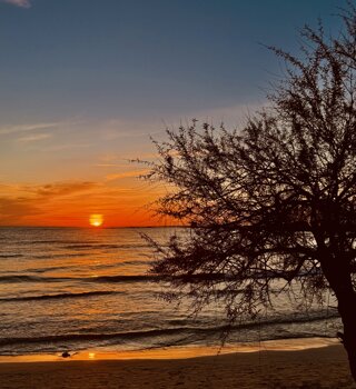 img_9284.jpeg