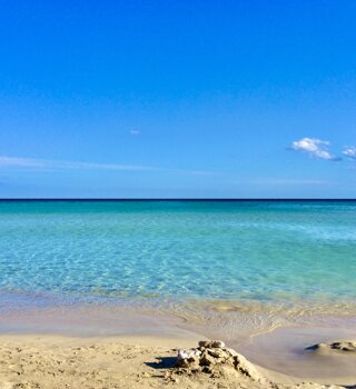 img_7896.jpeg