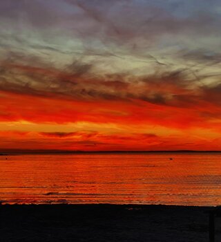 img_4426.jpeg