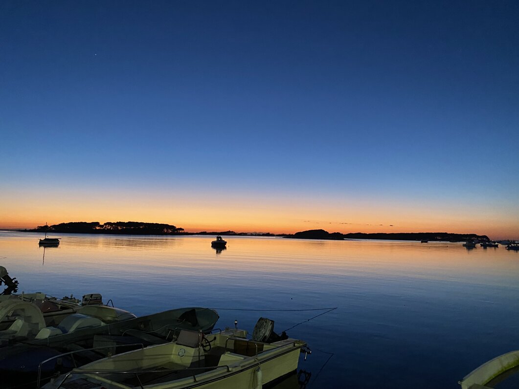 img_7254.jpeg img_7254.jpeg