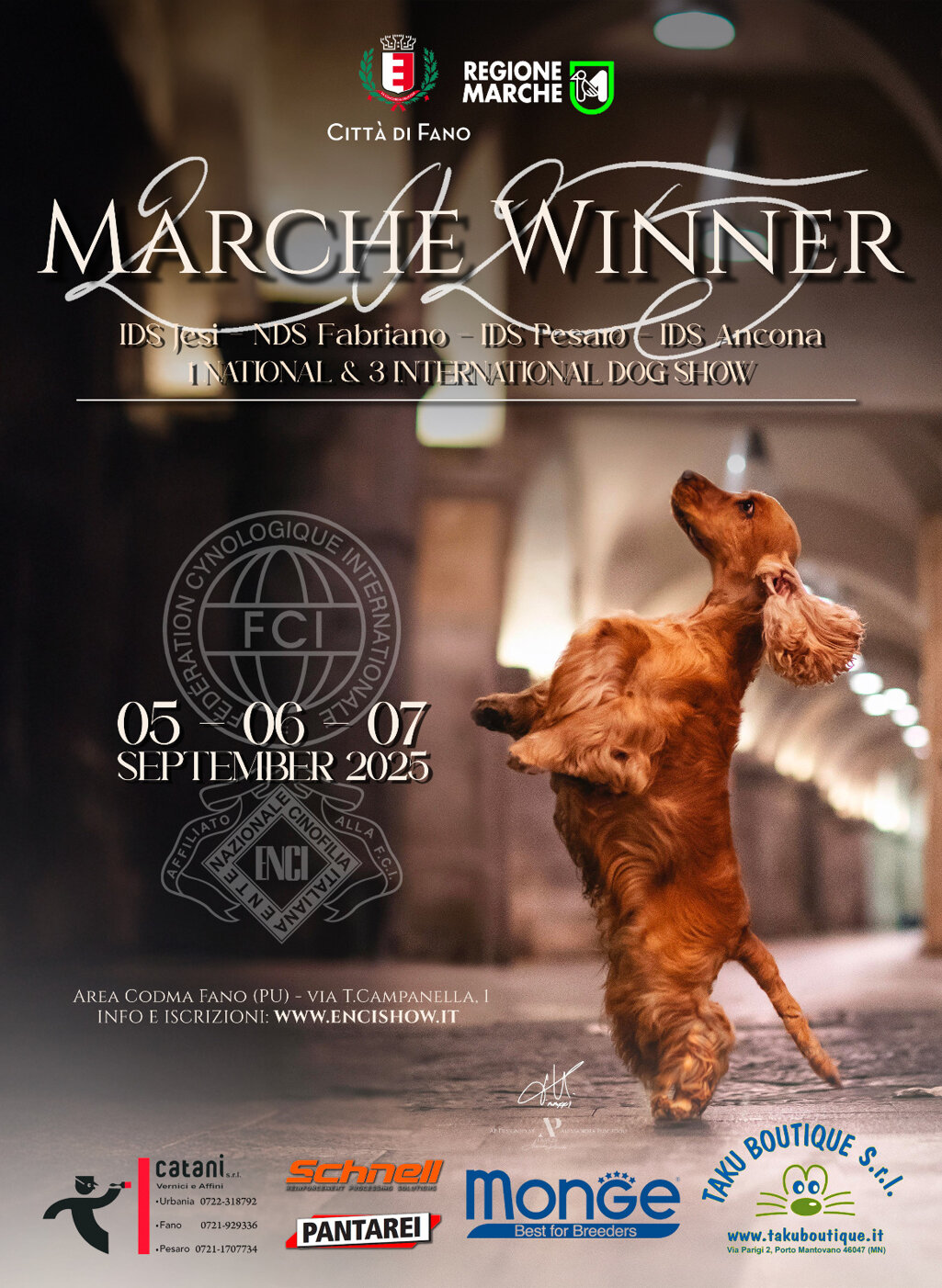 locandina marche winner 2025.jpeg