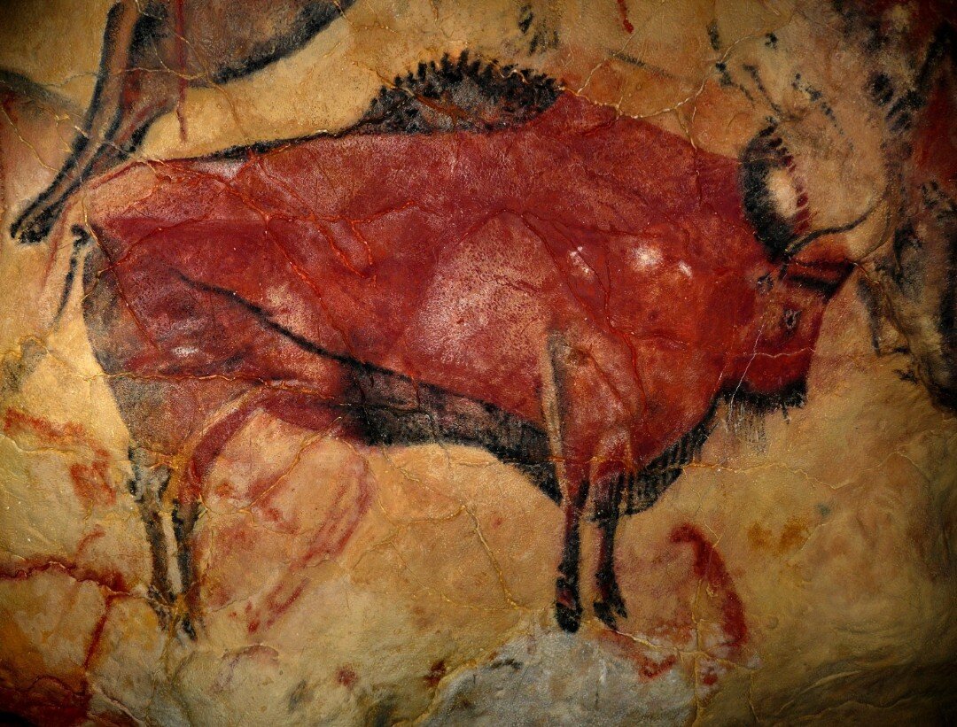 bisonte.jpeg bisonte.jpeg