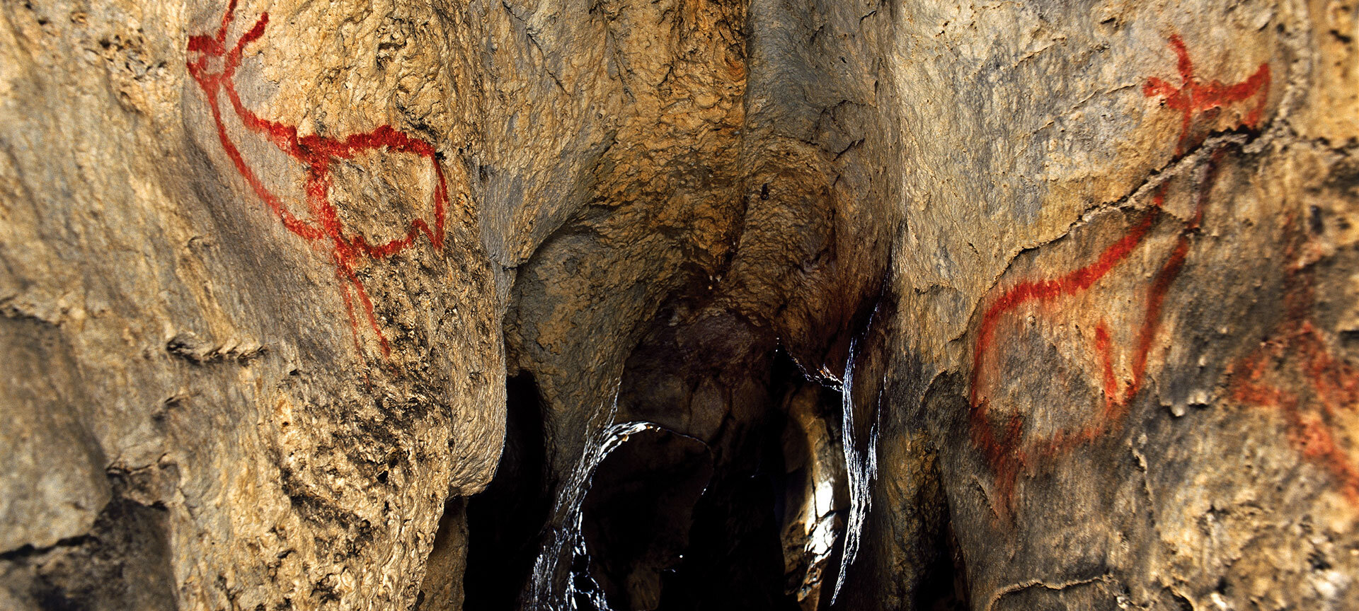 cueva-de-covalanas_o.jpeg cueva-de-covalanas_o.jpeg