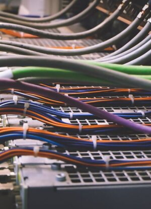 images-1-e1689164235812.jpeg images-1-e1689164235812.jpeg