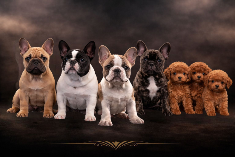 file_000000009d547246b67e98e1ed16eee7