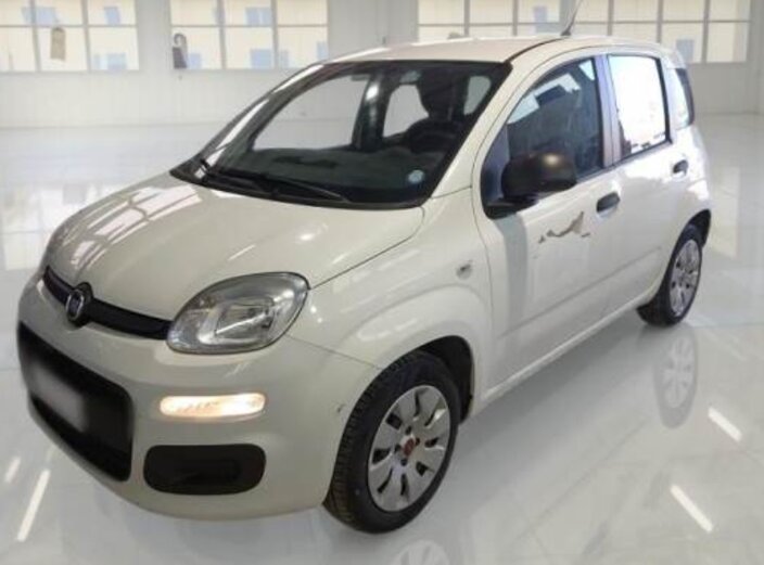 panda arval.jpeg