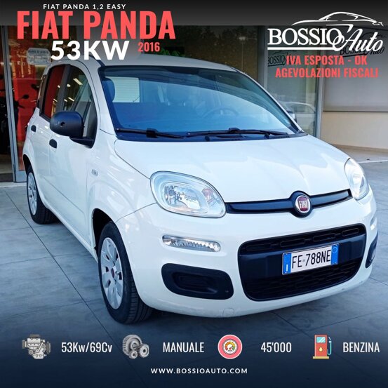 panda 1,2.jpeg