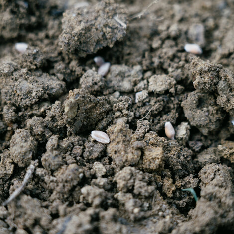 whatsapp%20image%202025-07-26%20at%2013.10.53.jpeg whatsapp%20image%202025-07-26%20at%2013.10.53.jpeg