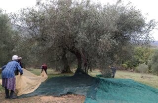 39785_be8ded7f8fa52040ff191e849c96b3dac96e6a9f 39785_be8ded7f8fa52040ff191e849c96b3dac96e6a9f