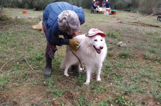 39785_299c98bea8a1e567149bedbc758b7b90d4112192 39785_299c98bea8a1e567149bedbc758b7b90d4112192