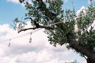 whatsapp image 2025-07-26 at 13.13.57.jpeg whatsapp image 2025-07-26 at 13.13.57.jpeg