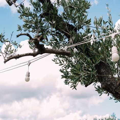 _dsc0163.jpeg _dsc0163.jpeg