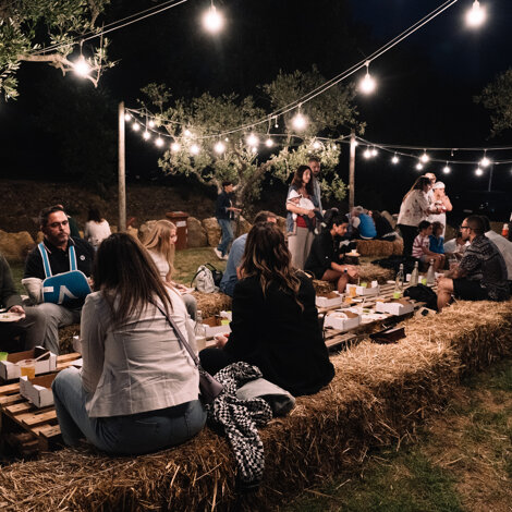 _dsc2873.jpeg _dsc2873.jpeg