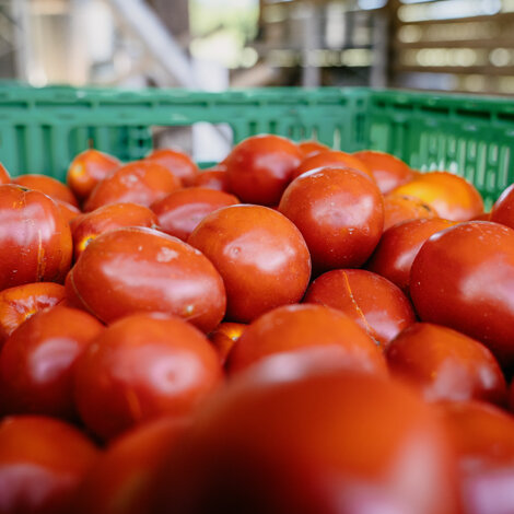 _dsc2843.jpeg _dsc2843.jpeg