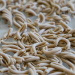 pasta-secca-di-grano-duro-senatore-cappelli