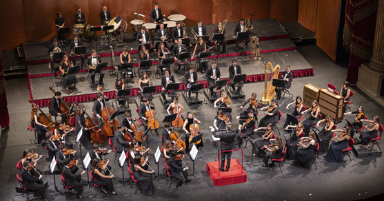 orchestra accademia scala