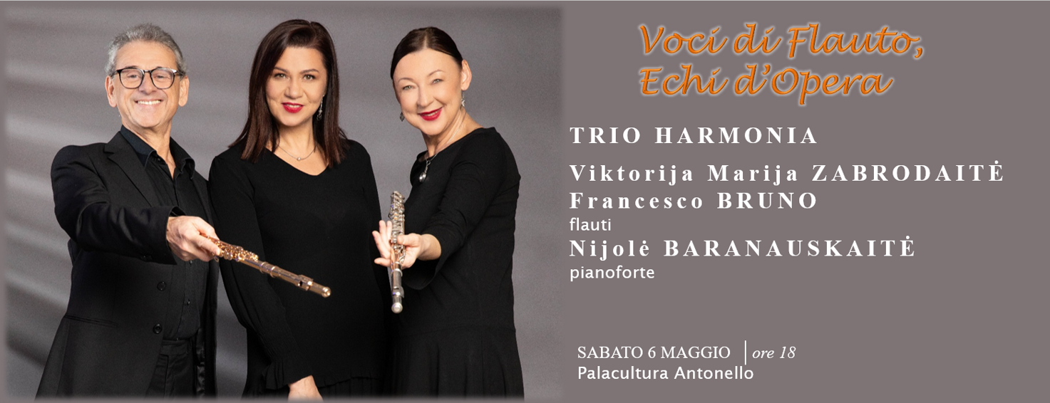 banner trio harmonia