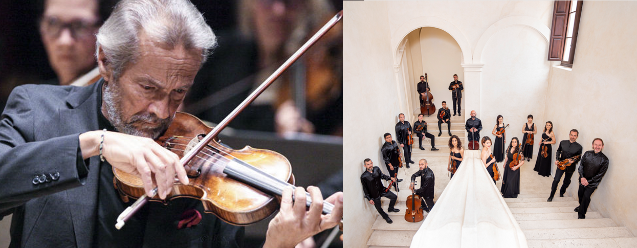 d4f8ef49-915e-494b-bd0a-ceb80b368f6c