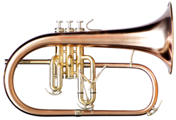 b8ea75a9-dfcb-4491-a2f8-f06abbc353f9