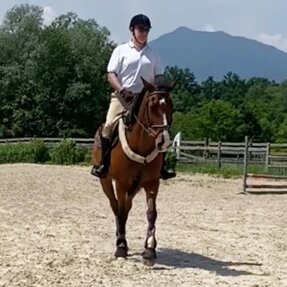 e62240ad-163b-4639-a7d5-e8ac81955110