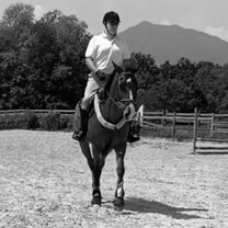 d2d8eb8b-e9d6-492e-a1a7-93e4119258be