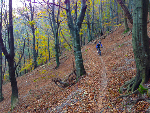 05c5f05e-87ed-4f13-ba76-32ff57a182a7