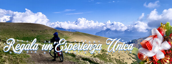 ce6696c7-f4f3-4584-baec-7e87f8c64af5