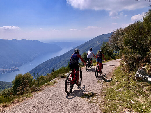 1cbbdb55-755d-4a66-8d63-111f18899ef2