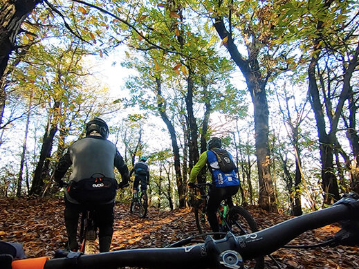 a24ae39e-9e5d-4da3-9364-11cf6fa7e0b4