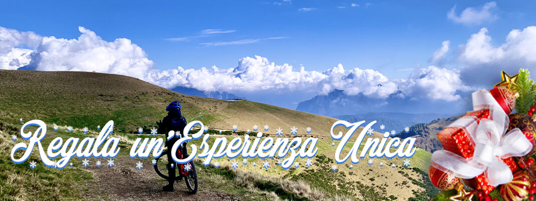 08e46ae1-cb13-4daf-9c13-1cb35978861e