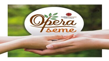 1583cf41-66cc-4dbe-bc0d-01f61a3c85f4