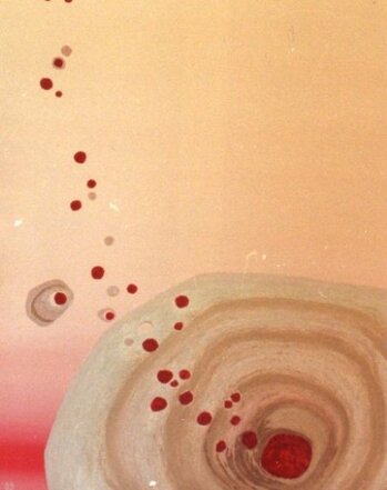 64b2664d-8a5e-4fd3-b41b-0a833570a8f2