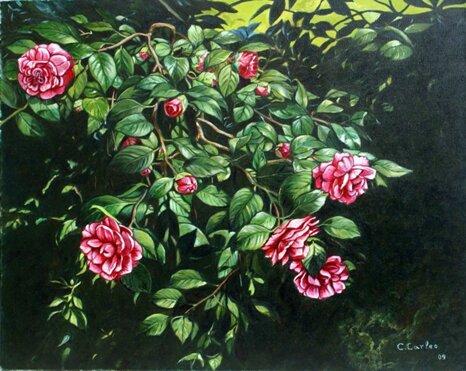 74fae520-f832-4fd8-87b7-800df78d0a93