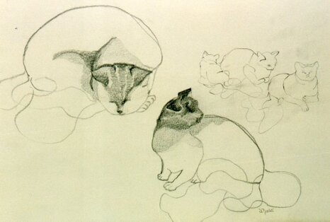 79476bf3-f4ec-44de-be7a-aa8250018d4b