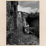 ca06f1ab-6385-49e2-92d3-f33d0b89dad4