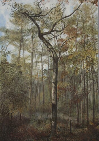 46c0f03d-8340-450b-81fd-fe67b72a9a14