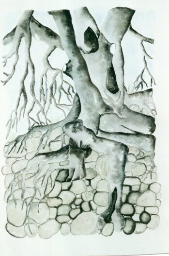 4db6c289-a014-442c-990a-351e58c68570