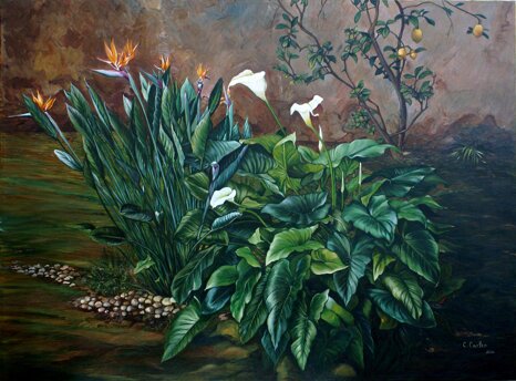 a8982108-23a9-4c56-9d4b-cfd70050852b