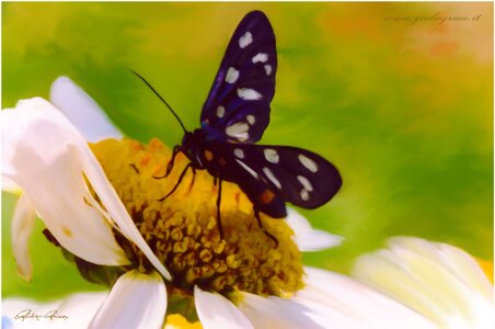 8a6a0037-3f84-4a82-add3-d3ca33273187