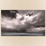 d269617b-2c63-47d9-8759-14c465481fa3