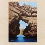 70427076-5e5e-4fe8-b2fe-c5107d692877