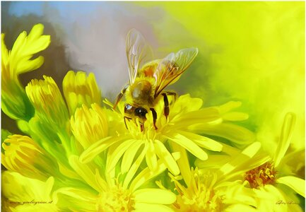 aded2609-f90a-4c32-acbc-3f69b402a479