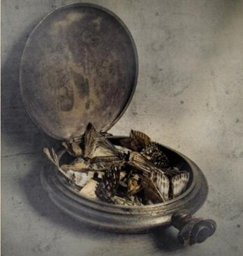 a58a125c-20dd-4522-b8fb-d9223cfbfe4c